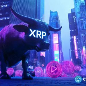 XRP’s positive 6-month cost basis defies macro weakness but indicators show slowing momentum