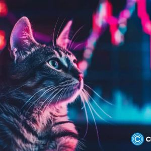 POPCAT price surges 15% as smart money buys fuel rally toward $0.70 target