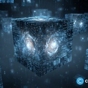 Vector Smart Chain appoints former CityGroup CFO, introduces fixed gas fees