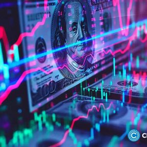 Crypto VC funding: Sentora, T-Rex and Sonic Labs collect fresh capital