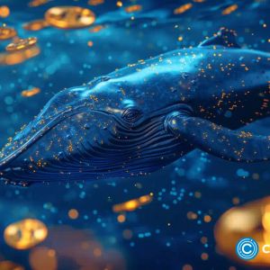 What DOGE and Binance Coin whales are buying: Can Lightchain AI 100x?