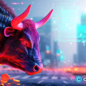 The crypto bull run is here: top 3 altcoins to buy and hold