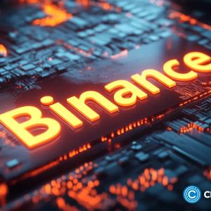Polygon Ventures backed RDAC crypto to be listed on Binance Alpha today