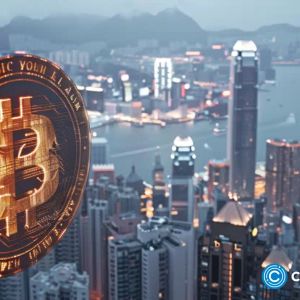 Hong Kong police tease crypto tracing tool to tackle online crime