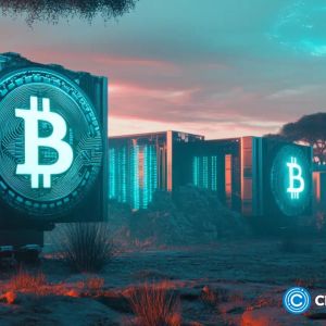 Bitfarms’s mining margins squeezed despite 33% revenue jump as post-halving costs climb