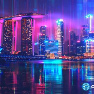 Crypto ownership falls sharply in Singapore as half of holders sell in 2024, data shows