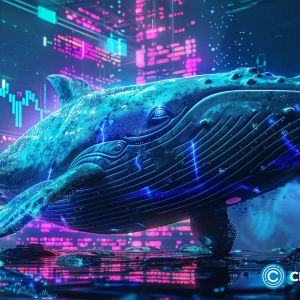 From PEPE to Billions: meet crypto’s boldest whale James Wynn