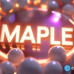 SYRUP price rallies as Maple TVL, staking market cap, whale purchases rise