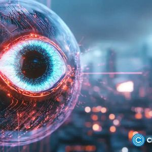 Zcash price rallies as shielded value and privacy token demand soars