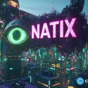 Exclusive: How NATIX plans to disrupt autonomous mapping with decentralized data