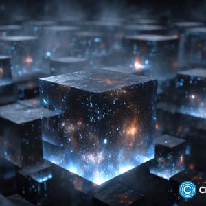 BERA price crashes as Berachain transactions, stablecoins plunge
