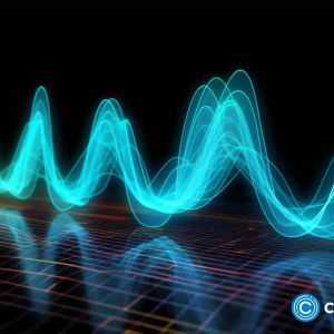 Zebec Network price extends its rally on Uphold backing and potential collab with Ripple