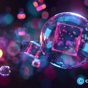 Bubblemaps V2 now public, unlocking advanced on-chain analytics features to all users