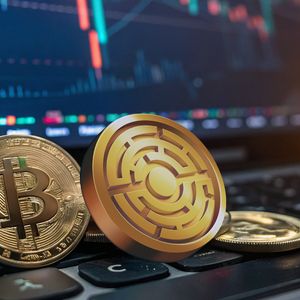 Bitcoin leads crypto market slump as Trump and Musk trade punches