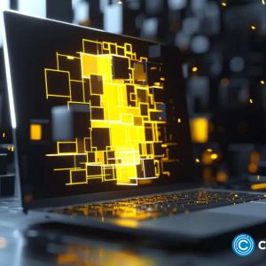 BNB maintains exchange dominance; Lightchain AI gains influence among serious crypto buyers