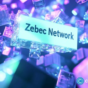 Here’s why Zebec Network token price is crashing