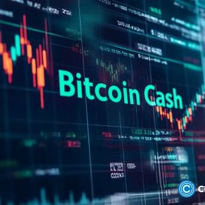 Where to buy Bitcoin Cash with a credit card: Here’s what users reveal
