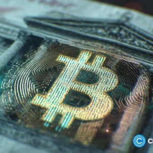 Watch out for these crypto stocks outperforming your Bitcoin and altcoin bags