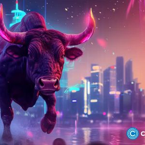 The crypto bull run has 5 catalysts to support continued momentum