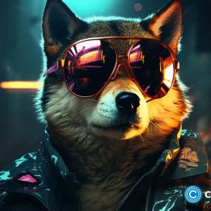 Shiba Inu price outlook: double bottom pattern signals a rebound