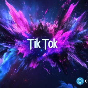 TikTok’s uncertain future reveals web2’s weaknesses | Opinion