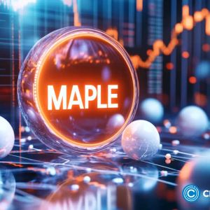 Here’s why the Maple Finance token price is in a bull run