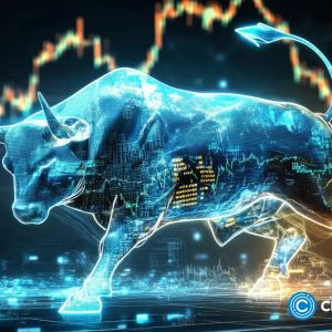 Zebec Network price eyes reversal as technicals catch up with fundamentals