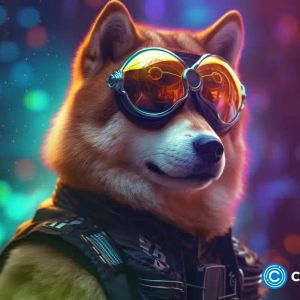 Shiba Inu price crashes as it eyes a crucial support