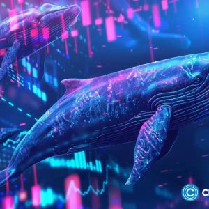 James Wynn’s side wallet reportedly dumps massive MOONPIG supply