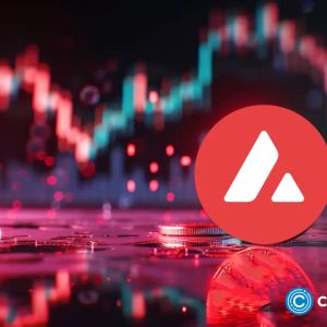 AVAX eyes $45 amid explosive on-chain activity; New presale contender emerges