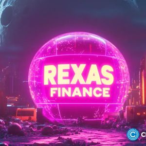 Rexas Finance rockets 325%: blow-off top or just getting started?