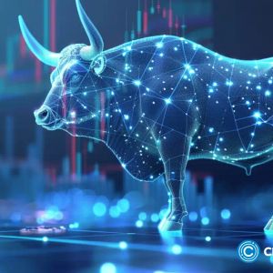 Useless Coin price surges as smart money investors buy