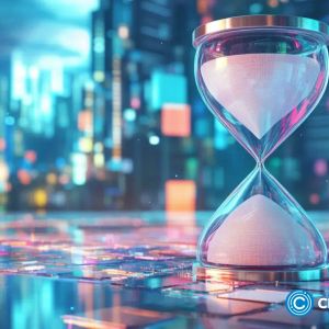 Why is the crypto market going up today?