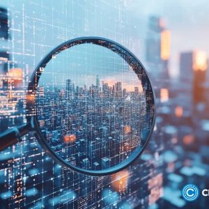 Crypto scam victim sues Citibank over $20m lost in romance scam