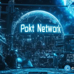 Pokt Network price prediction – POKT impresses with a pump but how far can it go?