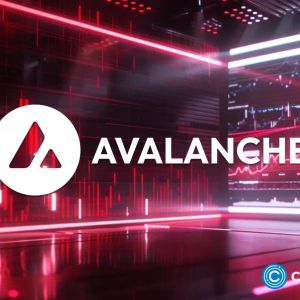 Insiders see coin surging 5000%, AVAX, Chainlink may struggle to keep up