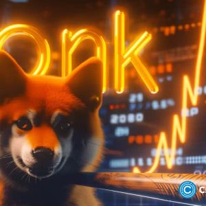 BONK approaches critical support: will a Double Bottom launch the next move?