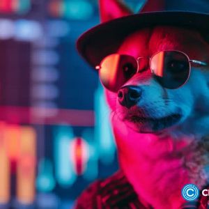 WIF price is rising: here’s why Dogwifhat has a 155% upside