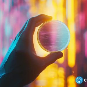 Rumble teams up with MoonPay to power crypto-fiat wallet integration