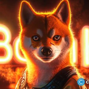 Bonk crypto risks rejection at key resistance: breakout or correction within a pennant?