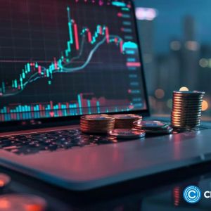 Crypto scammer Nicholas Truglia sentenced to 12 years in prison for failing to pay $20m restitution