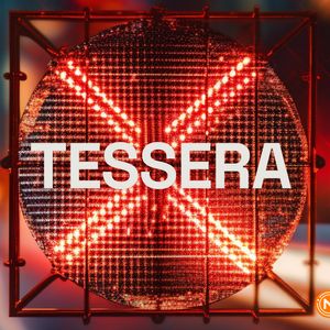 Tessera and Escher to cease operations: NFT fragmentation faces financial challenges