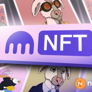Kraken officially launches final version of its NFT marketplace