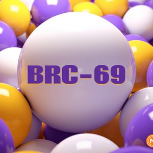 Breaking ground with BRC69: The future of Ordinals collections