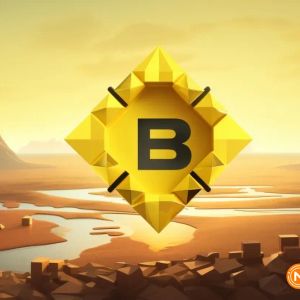 Binance ends support for Polygon NFTs and Sandbox staking