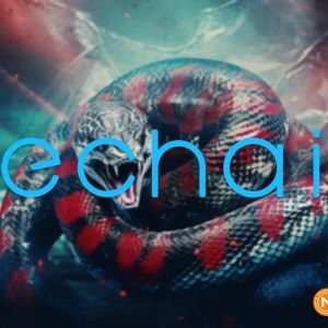 Vechain and Venum Brazil unveil new ‘phygital’ MMA apparel