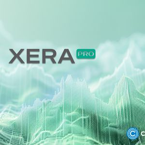 How XERAPRO connects users with tech experts