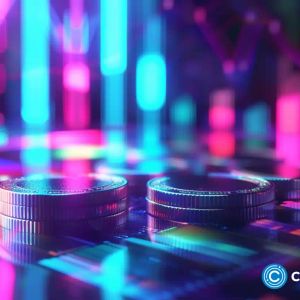 Best crypto to hold for the long term
