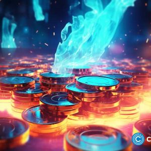 Solana memecoin dev sets self on fire: master marketing or madness?