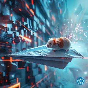 Why does everyone want to get rich with Telegram Hamster Kombat?